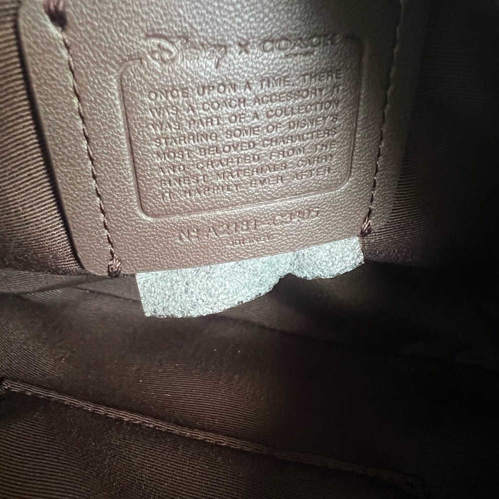 Disney X Coach Mini Bag With Tiana - Picture 9 of 9
